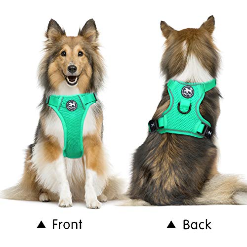 Mesh Dog Harness (S / Mint Green)
