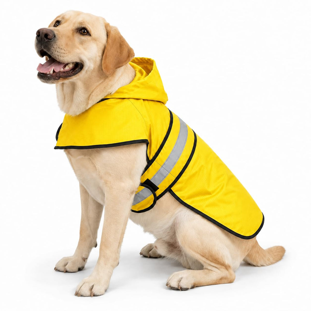 Dogg Toggs Raincoat (Yellow / Large)