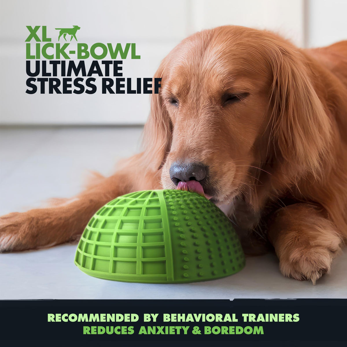 XL Dog Lick Bowl (Extra Large)