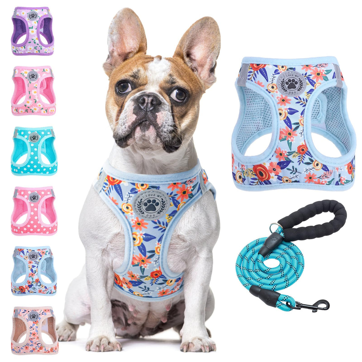 Large Dog Harness and Leash Set (Large(Chest Girth 18" - 21") / Blue Rose)
