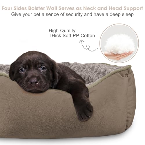 Rectangle Dog Bed for Large Medium Small Dogs Machine Washable Sleeping Dog Sofa Bed Non (Dark Brown / M(25"x 21"x 8"))