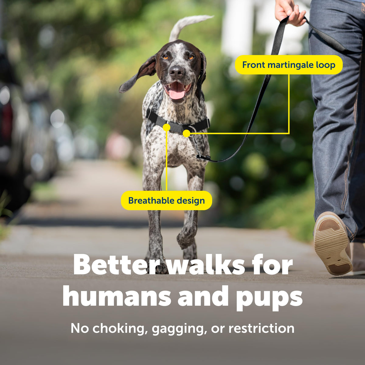 Easy Walk Harness (Medium/Large / Apple Green)