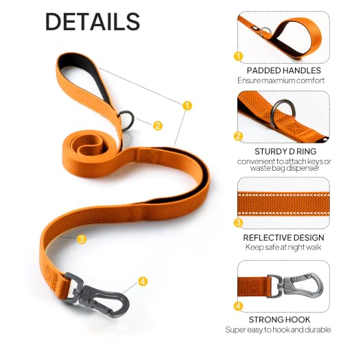 6FT 1IN Heavy Duty Dog Leash for Large Dogs with 2 Padded Handles (Orange / 1 in x 6 ft)