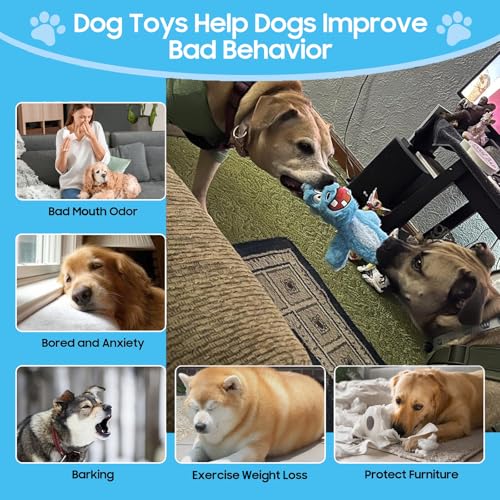 No Stuffing Squeaky Dog Toys Plush Chew toys for Small Medium Large Breed (6 pack)