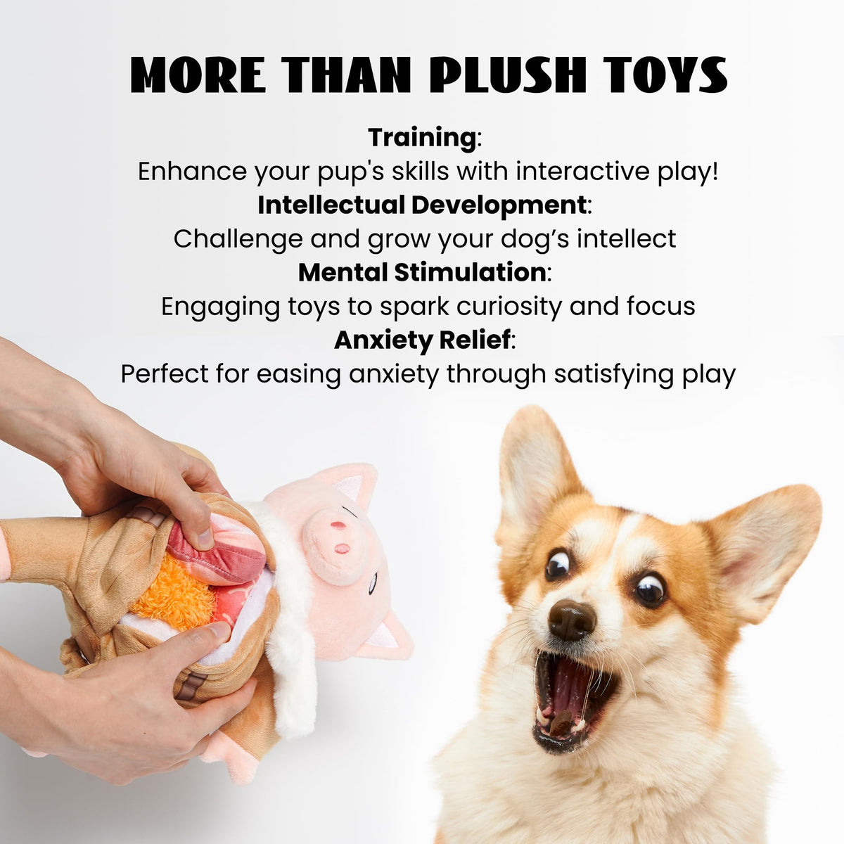 Stuffed Pig Dog Toys (Pilot Pig)
