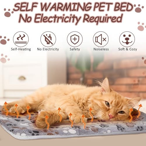 2 Pack Self Warming Cat Mat (Black / 22'' X 18'')