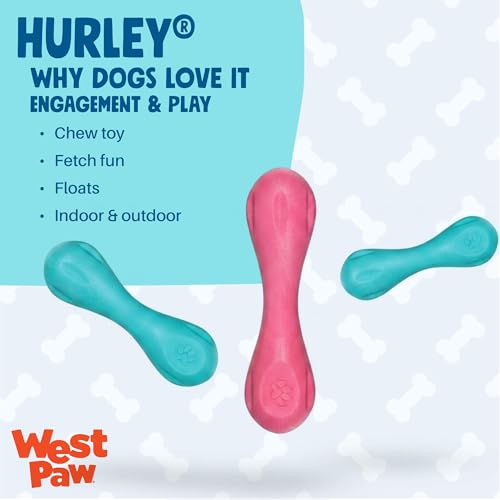 Zogoflex Hurley Dog Bone Chew Toy (Small / Teal)