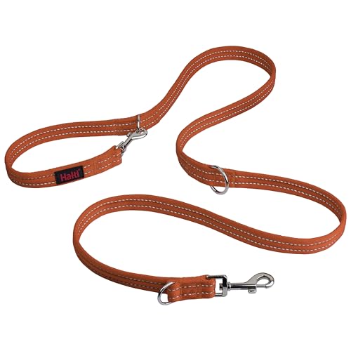 Training Dog Leash (Large / Burnt Orange)