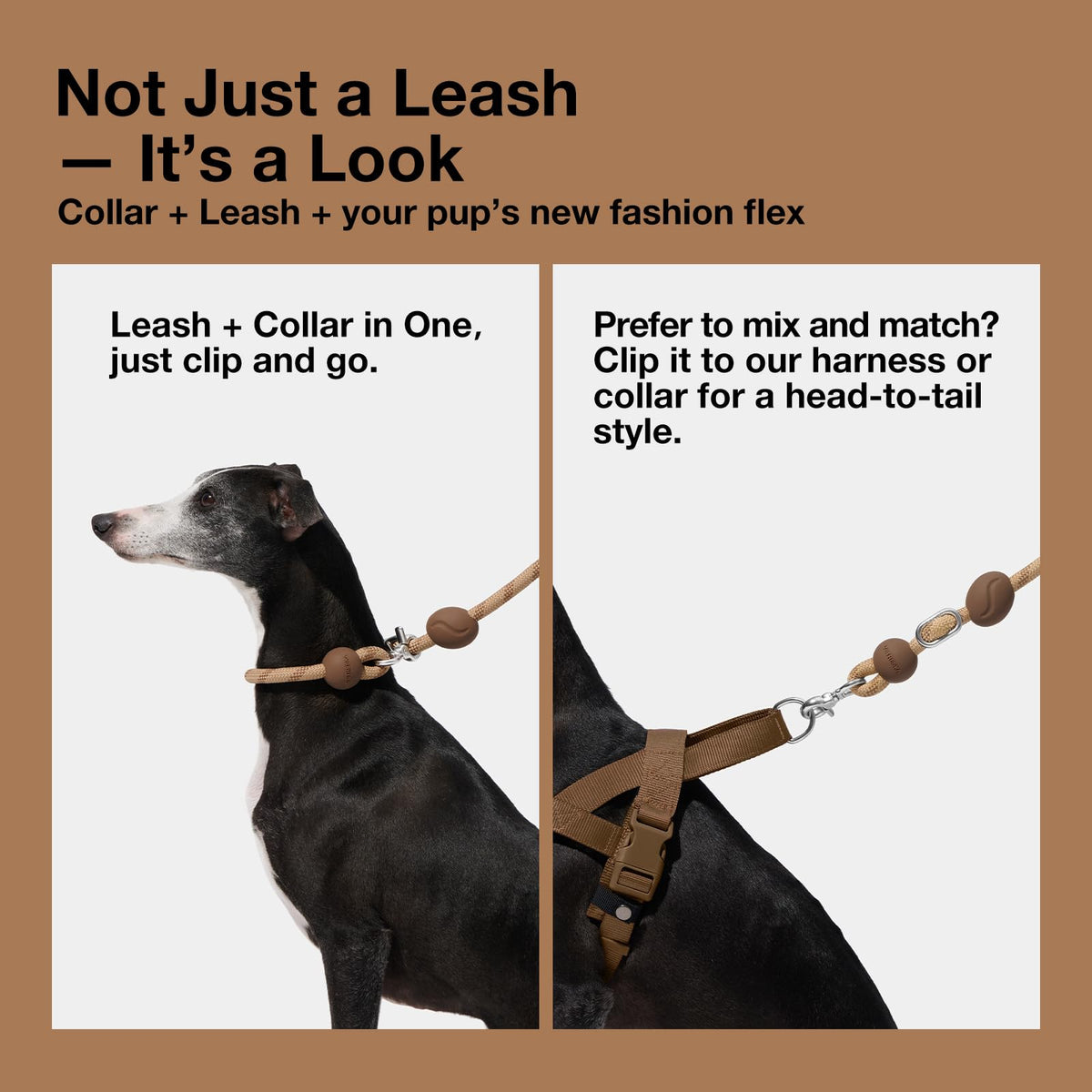 Hands Free Dog Leash (Coffee Brown)