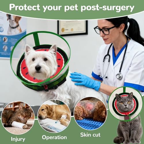 Inflatable Dog Cone Collar with Anti (Watermelon / L(Neck:12-15.5''))