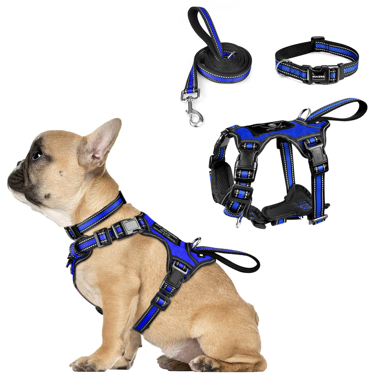 Pet Harness Collar and Leash Set (Small / Dark Blue)