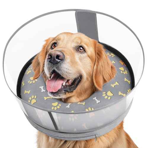 Inflatable Dog Cone with Anti (M+ (Neck: 11"-14"))