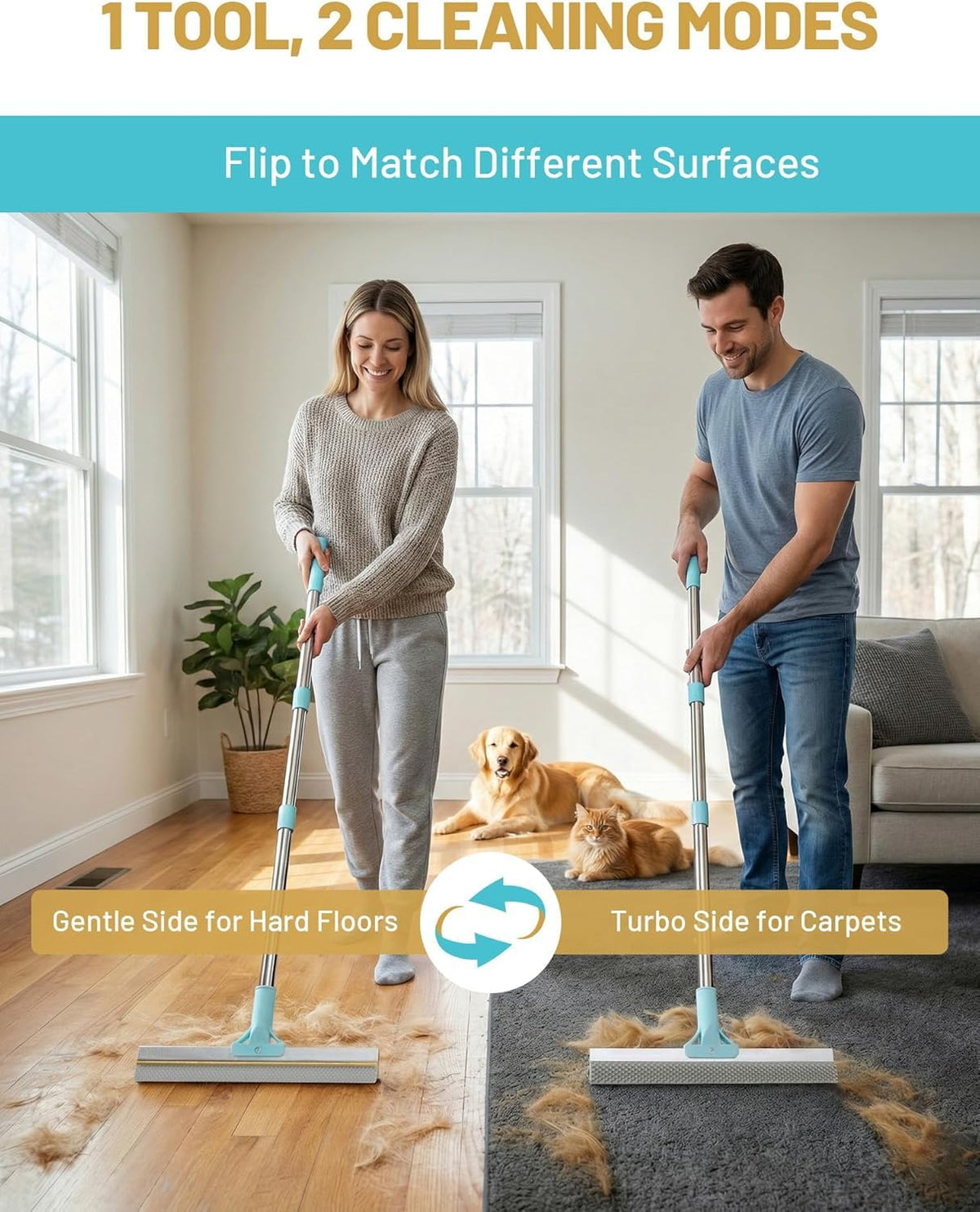 Carpet Rake for Pet Hair Removal (B: Blue)