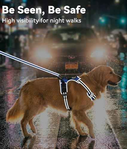 No Pull Dog Harness for Large Dogs (Large / Navy Blue)