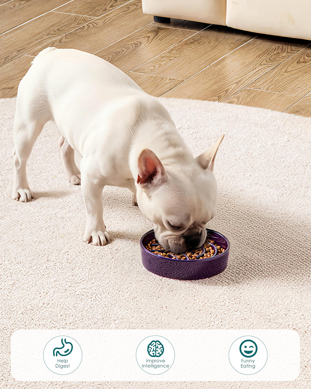 Slow Feeder Dog Bowl (Dark Purple / 0.6 Cups)