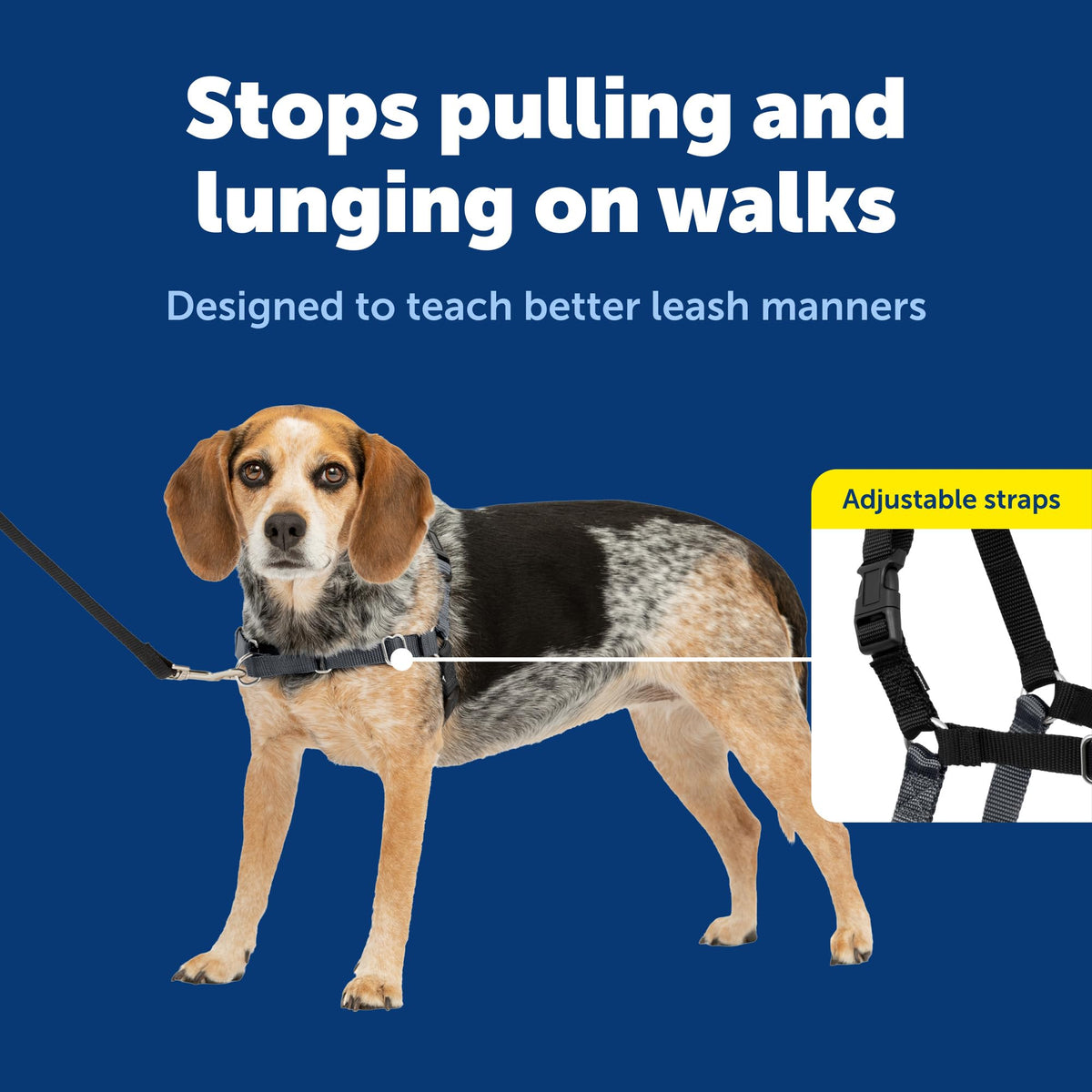 Easy Walk Harness (Small/Medium / Charcoal/Black)