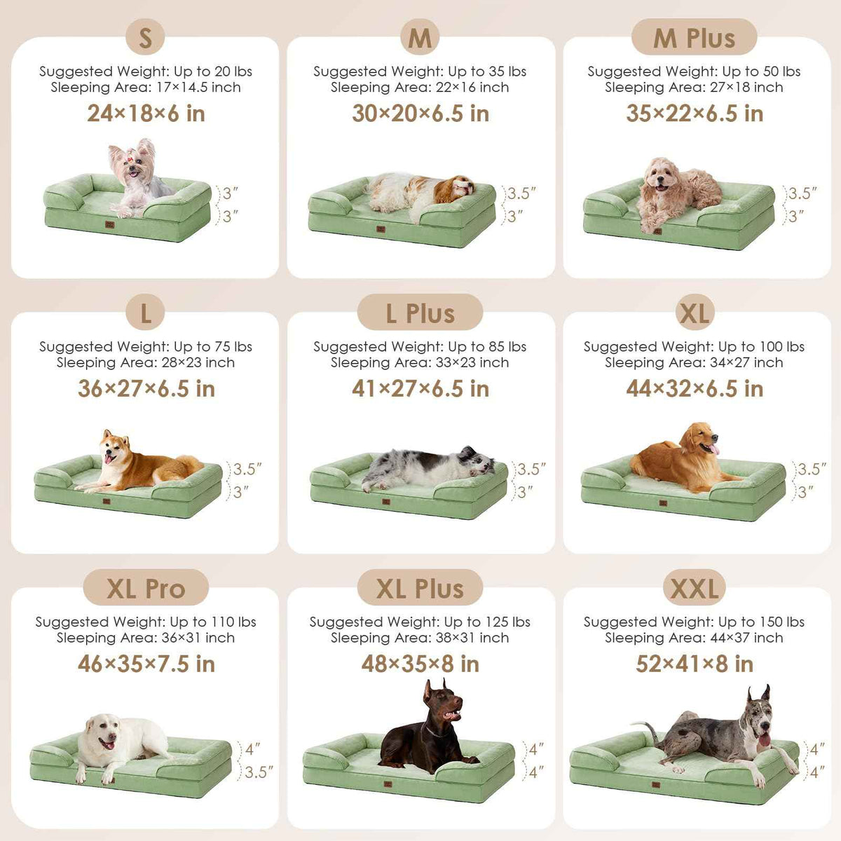 Orthopedic Extra Large Dog Bed (Sage Green / 44.0"l X 32.0"w X 6.5"th)