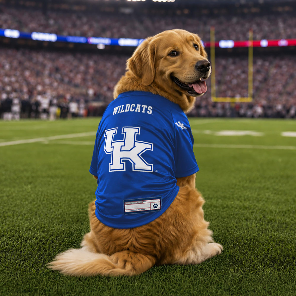 NCAA Kentucky Wildcats Stretch Pet Jersey (Kentucky Wildcats / X-Small)