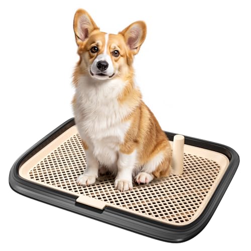 Dog Potty Tray (Black)