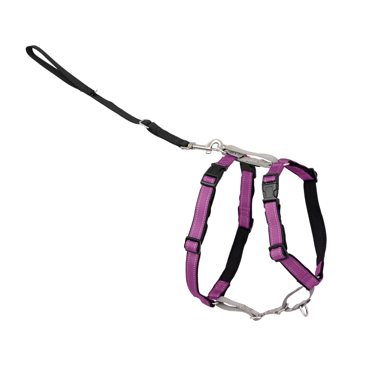 3 in 1 Dog Harness (Plum / Extra Small (Pack of 1))