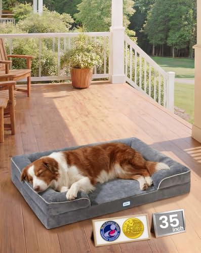 Orthopedic Medium Large Dog Bed Sofa (35" x 22" x 6.5"(Crate Fit) / 01-Gray)