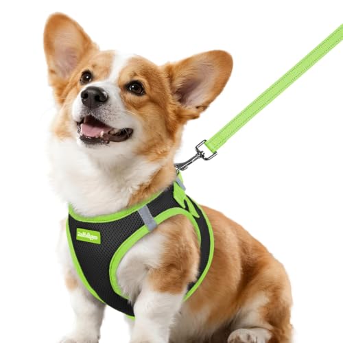 Dog Harness Small Sized and Leash Set (Black & Green / L (Chest: 18.2"-20.5"))