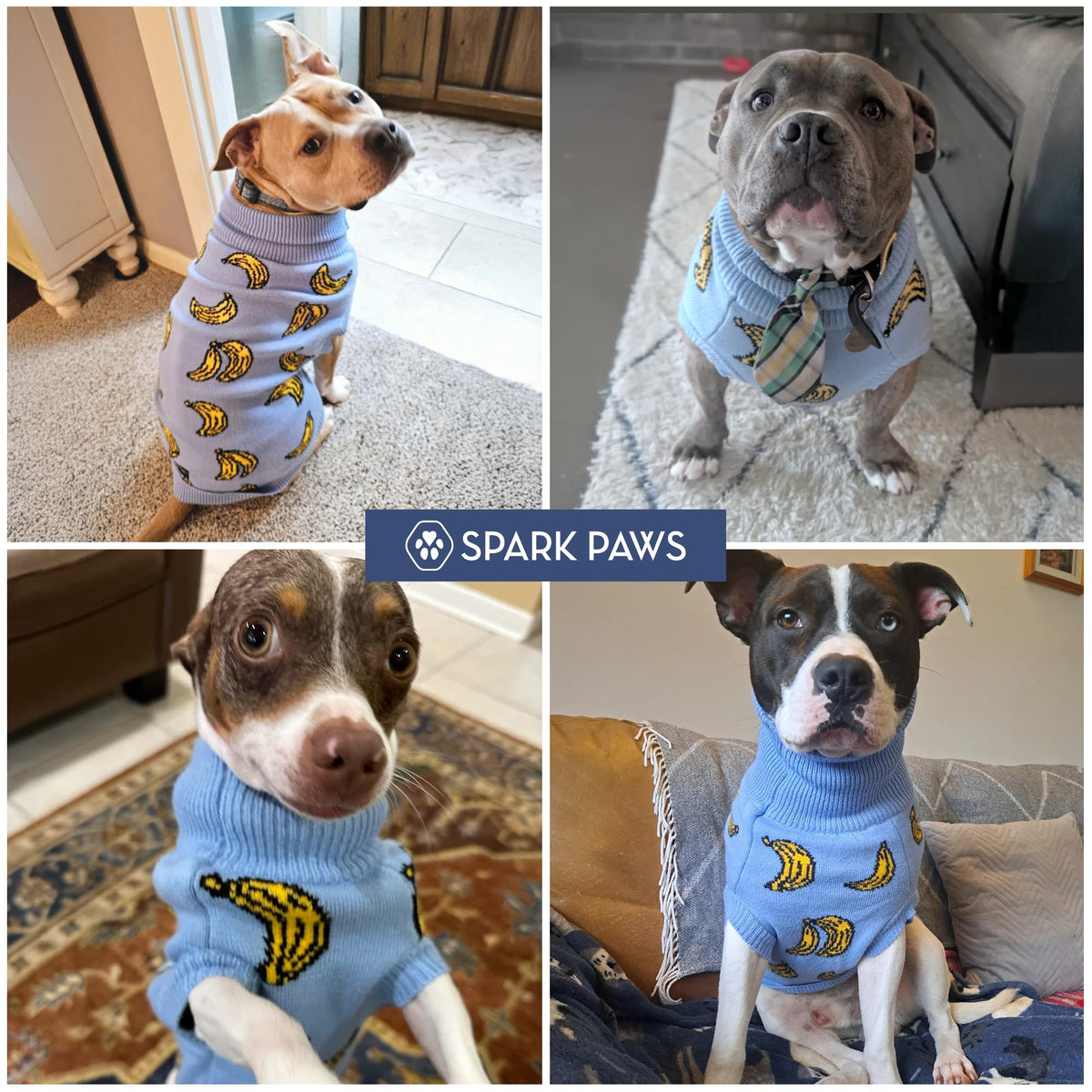 Knit Dog Sweater (Banana / 3XL)