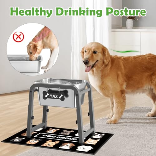 1.85 Gallon Elevated Dog Water Bowl (Grey-1.8 GAL / Height: 10.4-15.2")
