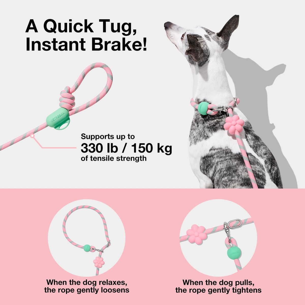 Hands Free Dog Leash (Flora Pink)