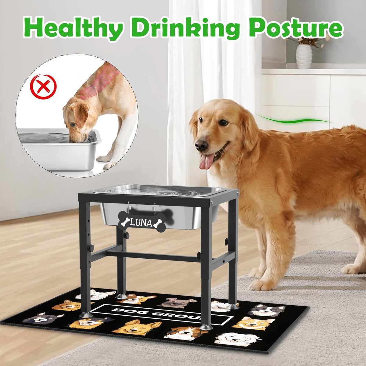 2 Gallon Elevated Dog Water Bowl for Large Breeds (2 GAL Bowl / Height: 9.45-14.2")