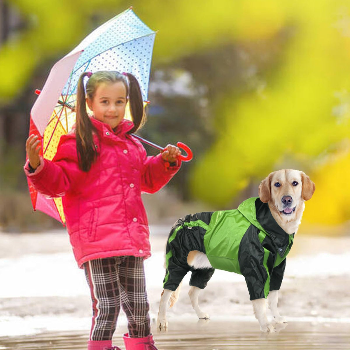 Dog Raincoat 4 Leg Waterproof Dog Rain Jacket with Hood (Green / Small)