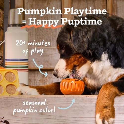 Pupsicle Interactive Dog Ball Toy for Dogs Small 10 (Orange / Small)