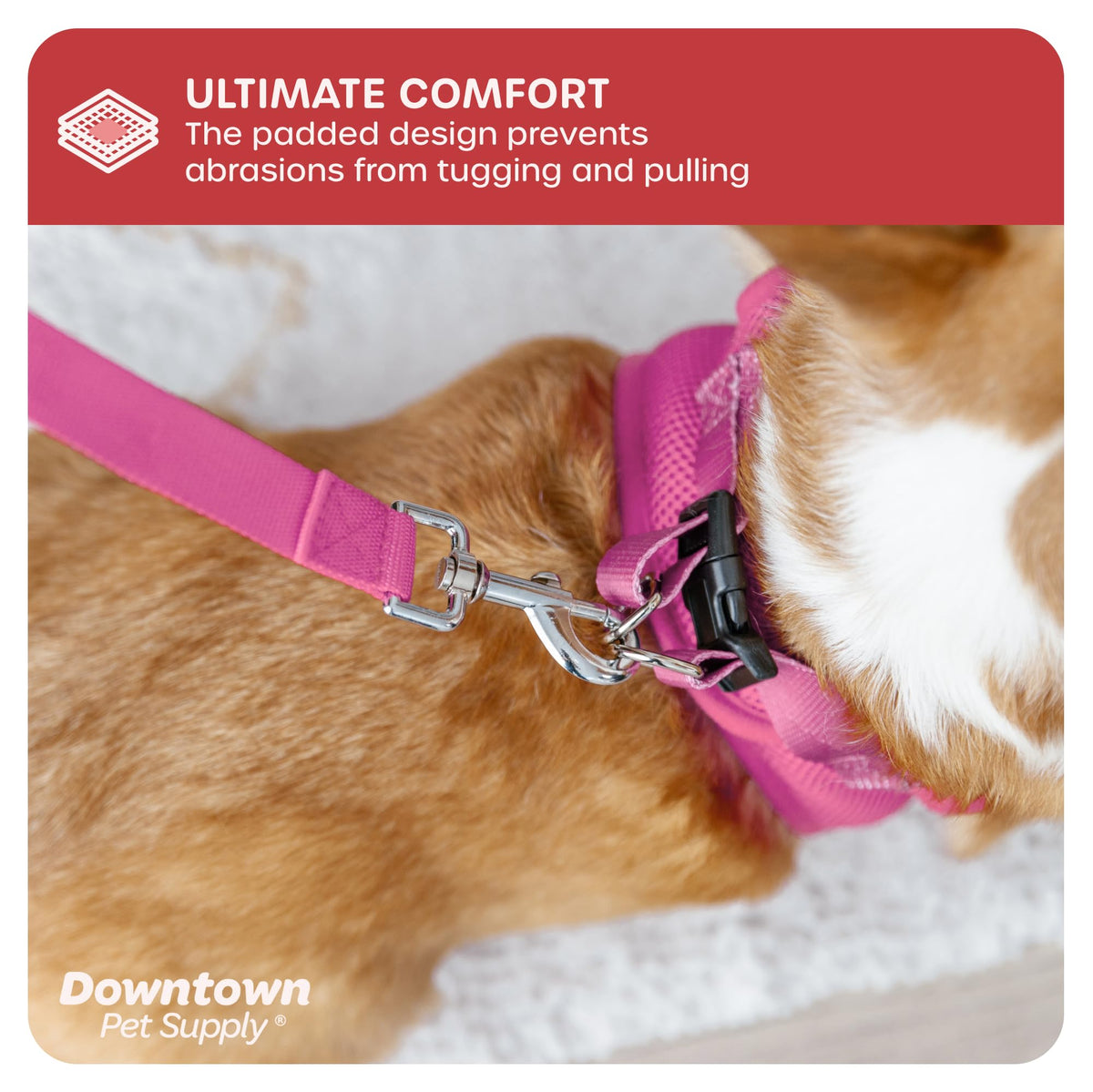 Step in Dog Harness (Small / Pink)