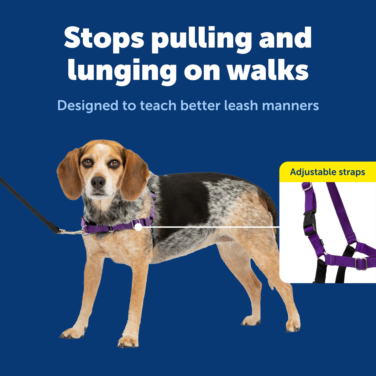 Easy Walk Harness (Small/Medium / Deep Purple/Black)