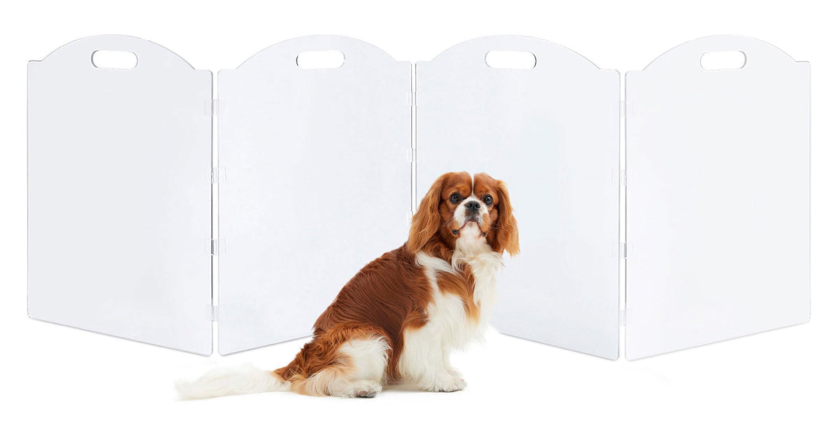 Clear Acrylic Freestanding Dog Gates for the House (4 Panel - 80''W x 24''H)