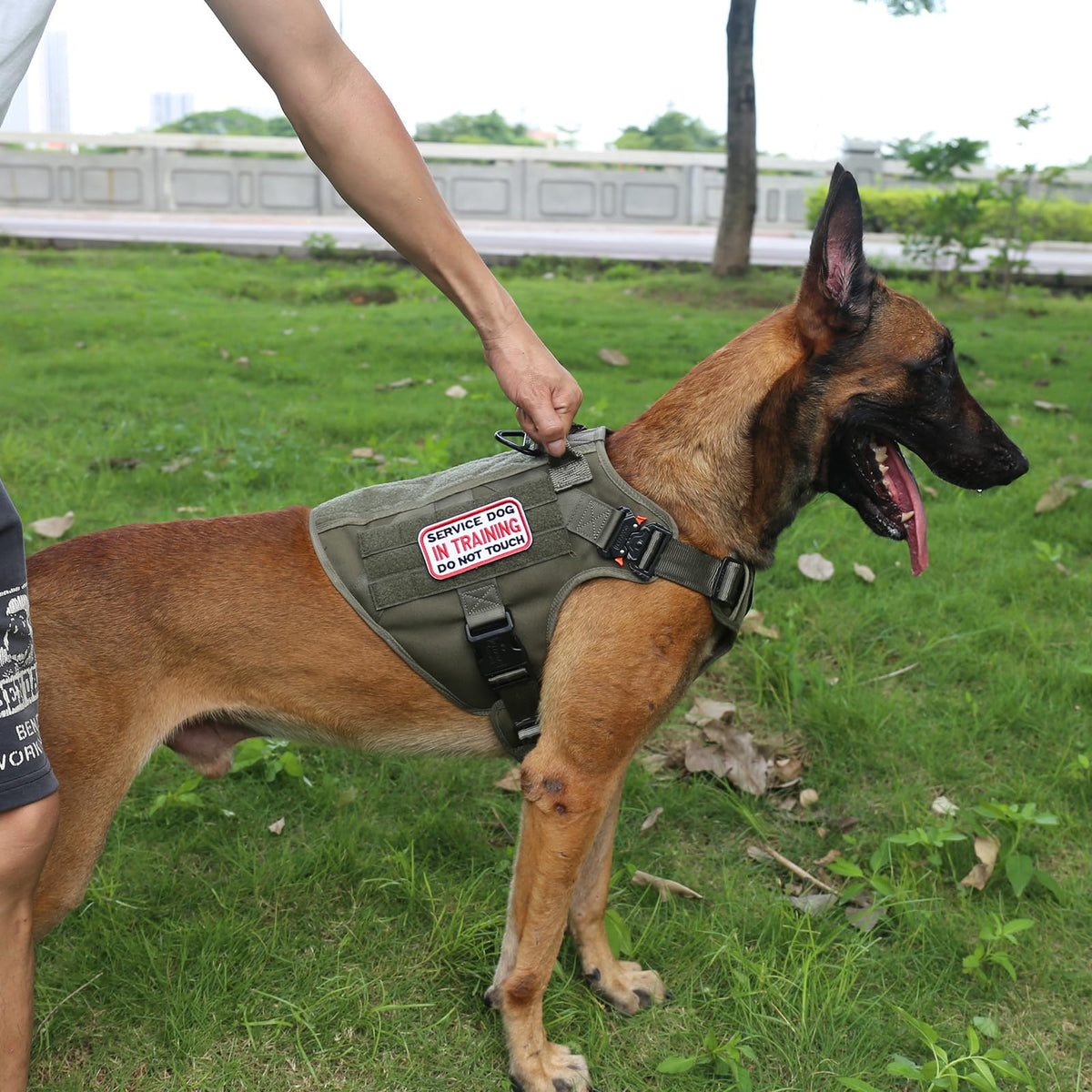 Tactical Dog Harness for Large Dogs (Large (Pack of 1) / Green)