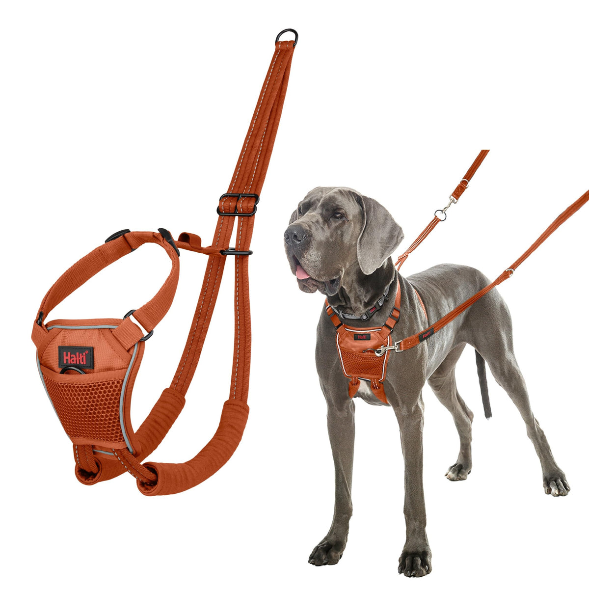 No Pull Dog Harness (Burnt Orange / L)