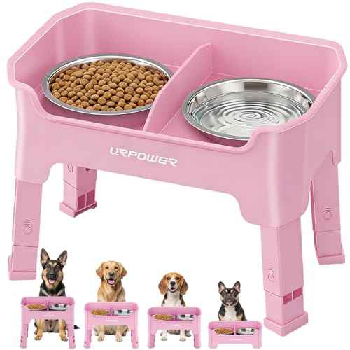 Mess Proof Elevated Dog Bowls (Pink / Medium)