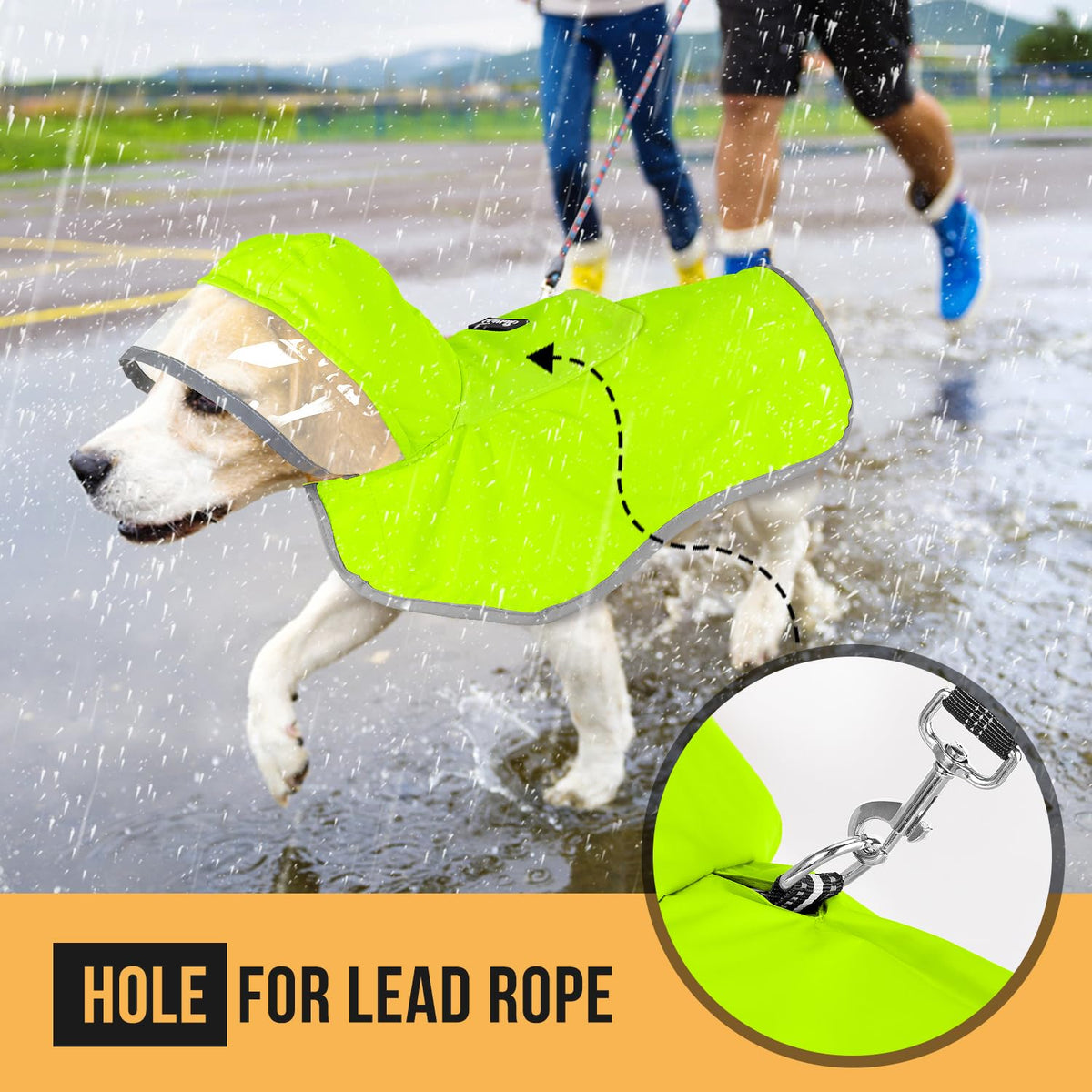 Dog Raincoat Waterproof Jacket with Clear Hood & Leash Hole (Green / 2X-Large)