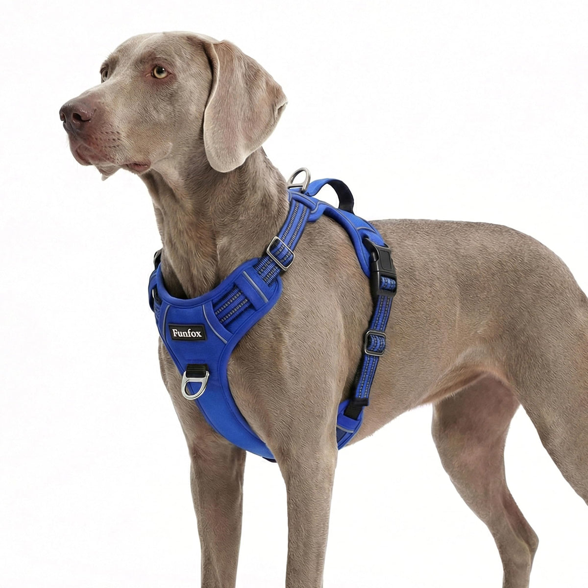 Dog Harness for XLarge Dogs (Blue / X-Large)