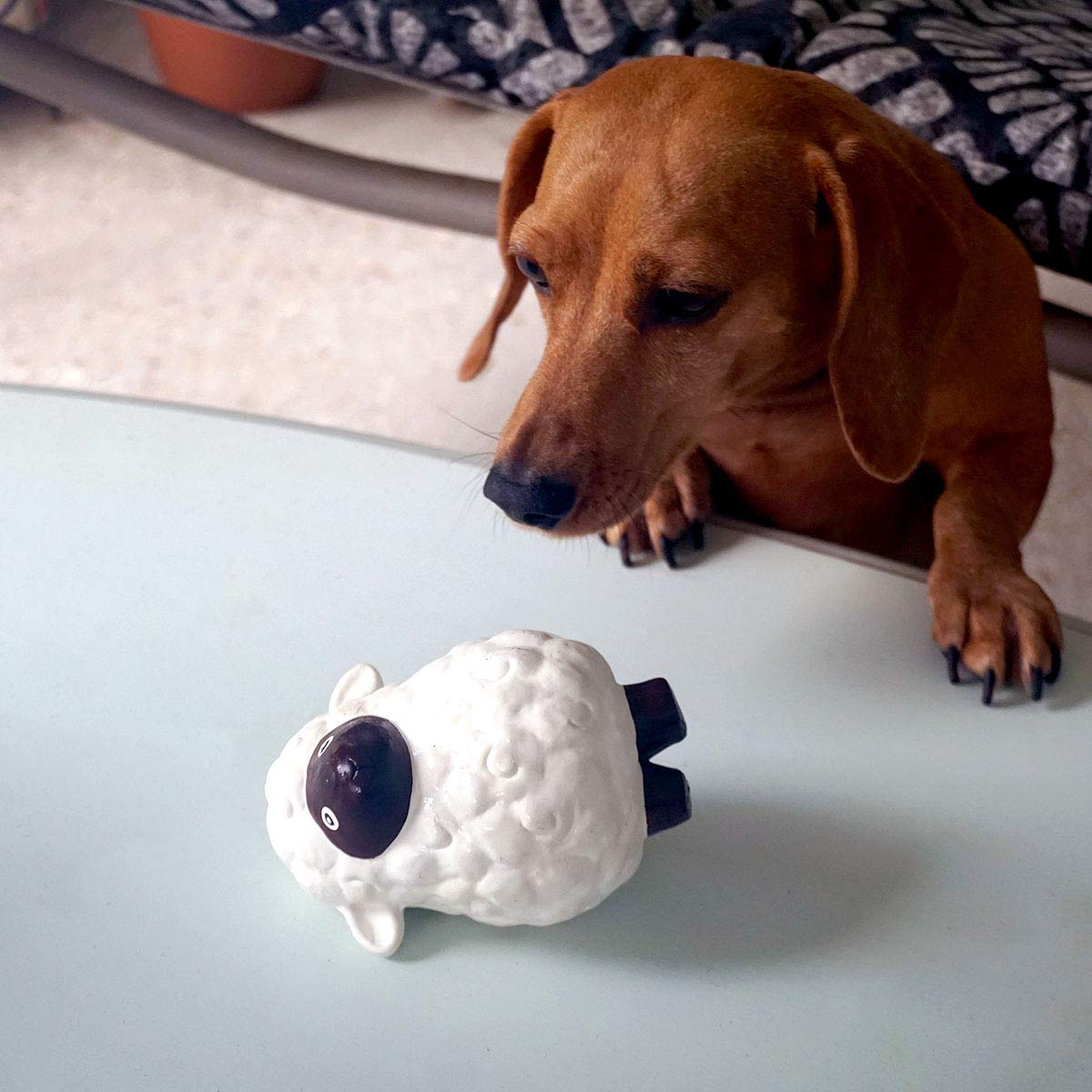 Puppy Chew Toys for Teething