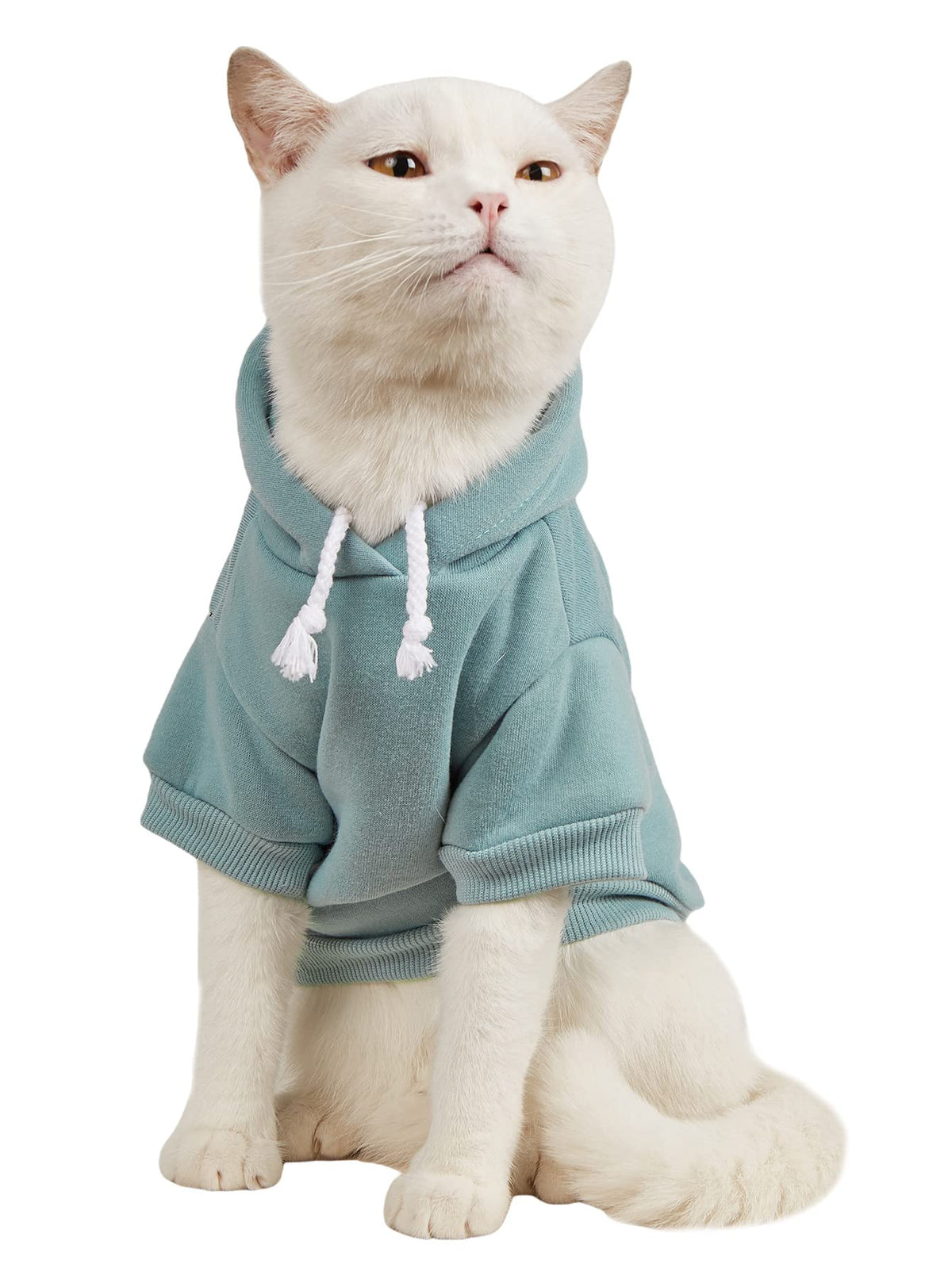 Basic Dog Hoodie Sweatshirt Puppy Sweater Warm Cat Costumes Pet Clothes for Chihuahua Puppy Kitten Small Medium Dogs Cadet Blue X (X-Large / Cadet Blue)