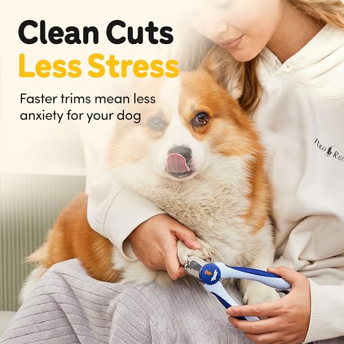 LED Dog Nail Clippers with Light (Blue / Large)