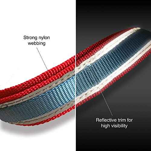 Quantum 6 in 1 Dog Leash (Red/Blue)