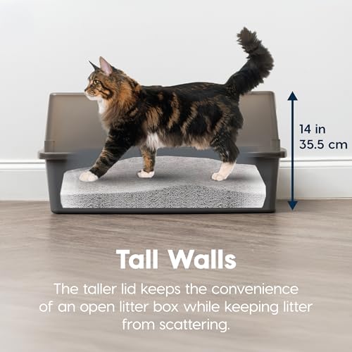 XX Large High Sided Cat Litter Box (XXL / Gray)