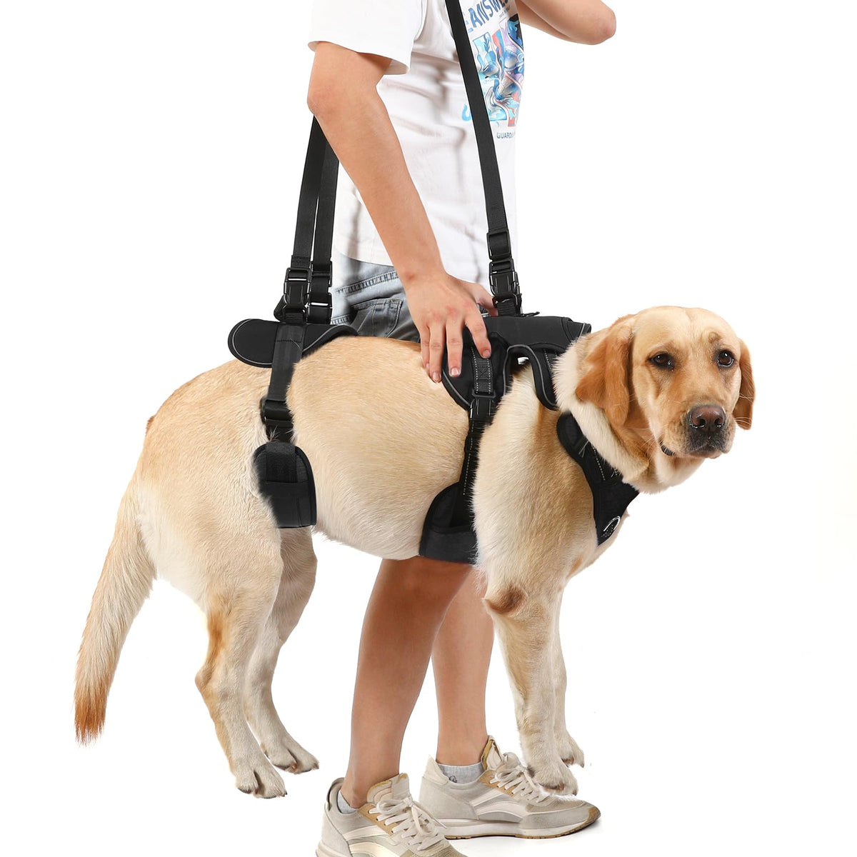 Dog Lift Harness (Black-1 / Large)