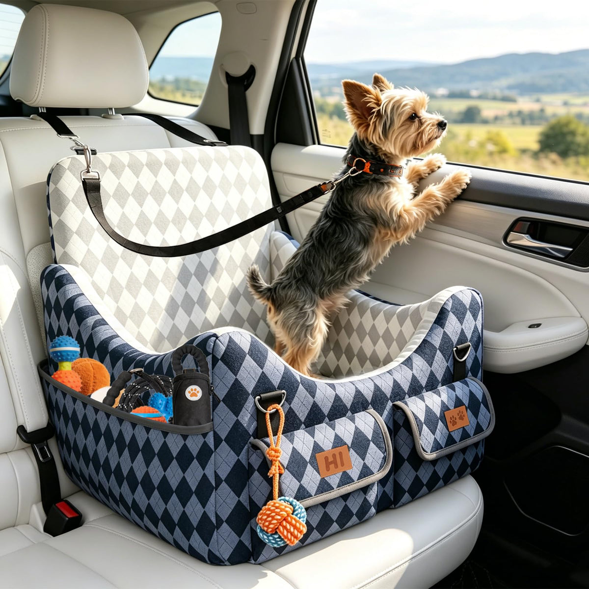 Dog Car Seat for Small (Blue/Grey / Medium)