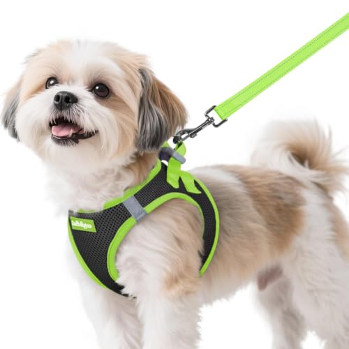 Dog Harness Small Sized and Leash Set (Black & Green / S (Chest: 15.1"-16.5"))
