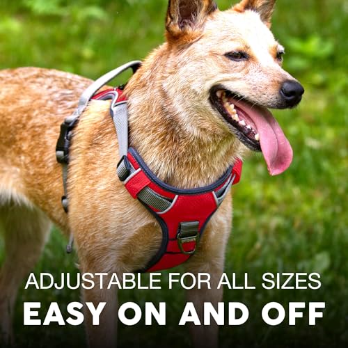 Embark No Pull Dog Harness (S / Red)