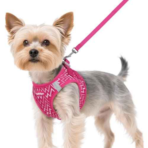 Dog Harness Small Sized and Leash Set (Rose Red Wave / XS (Chest: 13.3"-15.5"))